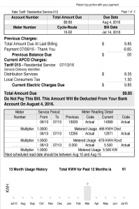 Actual customer bill showing net zero energy use for 11 of 12 months